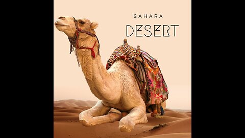 Journey Across the Enigmatic Sahara&Unveiling the Secrets of the Desert