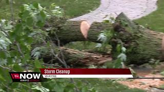 Metro Detroiters clean up after severe storms