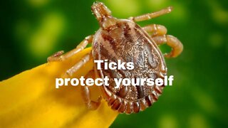 Ticks and preventing illness.