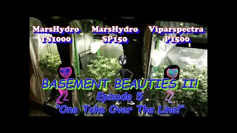 Basement Beauties 2 Side by Each! Ep.5 #MarsHydro #Viparspectra 👽 #NorthGenetics #Vivosun #420 🔨🔨