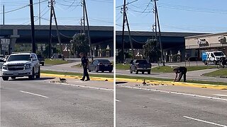 Police officer helps mama duck and her ducklings across the street
