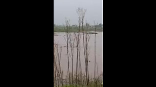 WATCH : Devastating Floods Hit Soweto (1)