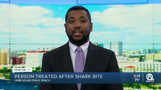 Person bitten by shark at Martin County beach