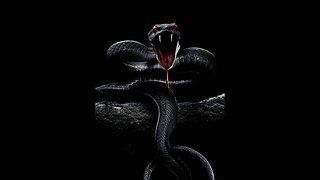 Rando- serpent and snake snippet