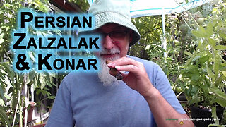 Iranian Fruit I Miss That I Can’t Get in Canada: Persian Zalzalak and Konar