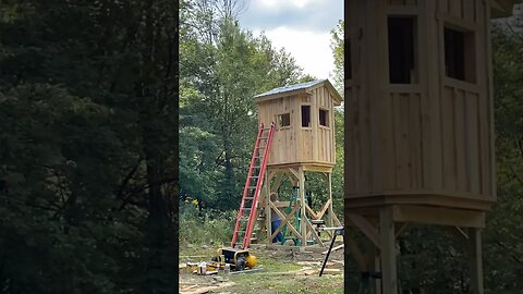 Deer blind build #5 #deerblind #huntingseason #carpentry #homestead #foodplots #offthegrid