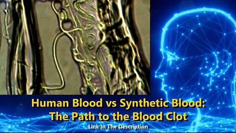 Human Blood vs Synthetic Blood - The Path to the Blood Clot