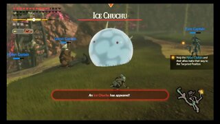 Hyrule Warriors: Age of Calamity - Challenge #162: EX Road To Akkala Citadel (Apocalyptic)