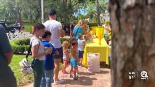 6-year-old raises awareness about alopecia with lemonade stand