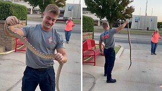 Firefighter wrangles snake that slithered underneath car