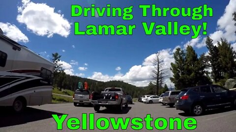 Lamar Valley Drive Through in Yellowstone National Park