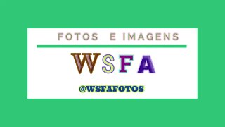 WSFA - segunda abertura dos vídeos do Canal