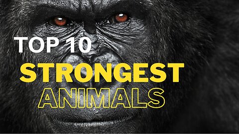 Top 10 Strongest Animals In The World