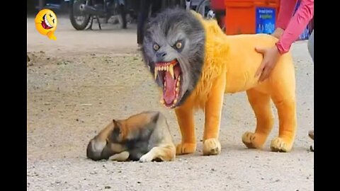 HILARIOUS Dog Prank Video - Fake Tiger Scares Dogs