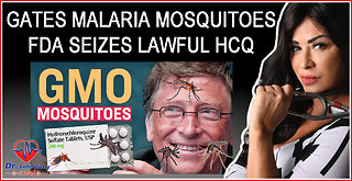 GMO Mosquitoes, Malaria, Hydroxychloroquine, World Economic Forum
