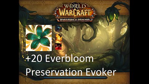 +20 Everbloom | Preservation Evoker | Tyrannical | Volcanic | Sanguine | #10