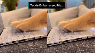 Teddy Embarrassed Me