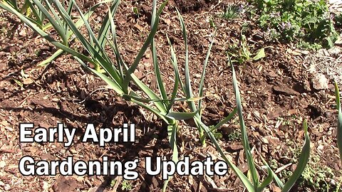 Late April Gardening Update and Tour