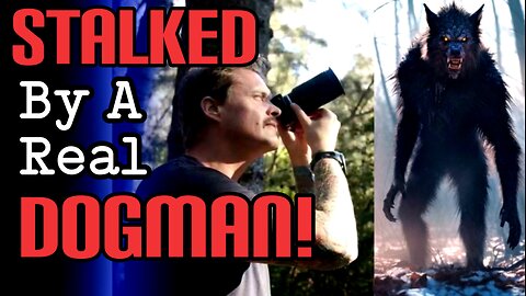 SHOCKING PHOTO! + Real Reports | Five True Dogman Cryptid Encounter Stories