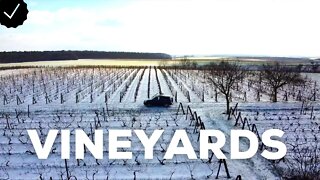 Winter Vineyard - Drone Footage - Cinematic 4k Virtual Tour