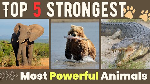 Top 5 Strongest and Most Powerful Animals on Earth - You Won't Believe #3!