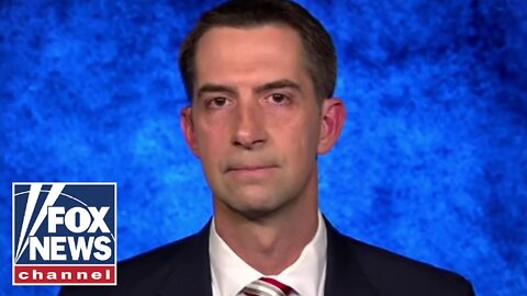 Tom Cotton: The police should arrest these pro-Hamas lunatics