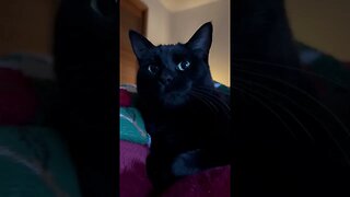 KITTY TV TIME EP4continued