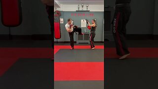 Jab, sidekick combination #taekwondo #kickboxing #sidekick #jab #combination #training #martialarts