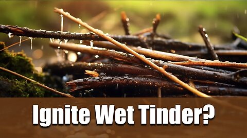 Defying Nature: Ignite Wet Tinder with Steel Wool