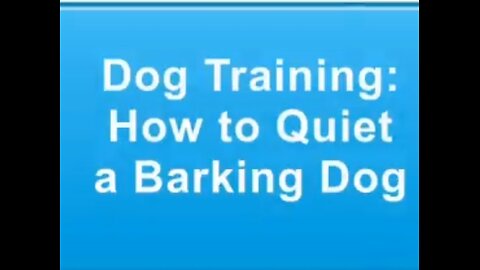 Dog training How to Quiet a Barking Dog