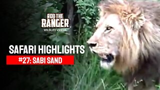 Safari Highlights #27: 25 - 31 December 2009 | Sabi Sand Nature Reserve | Latest Wildlife Sightings