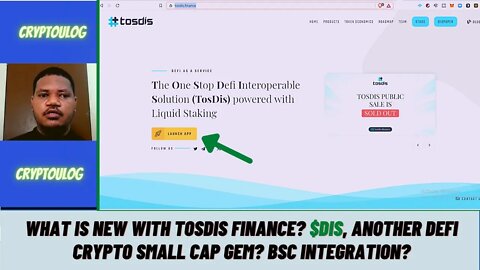 What Is New With Tosdis Finance? $DIS, Another DEFI Crypto Small Cap Gem? BSC Integration?