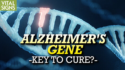 ‘Alzheimer’s Gene’ Heightens Alzheimer’s Risk but the Plasmalogen Nutrient Defends Against It