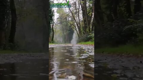 Relaxing rain