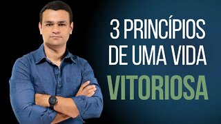 3 PRINCÍPIOS DE UMA VIDA VITORIOSA - CAFÉ COM PROPÓSITO - Kleyton Barcelos
