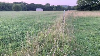 Pasture Rotation Plan 2022, Explained