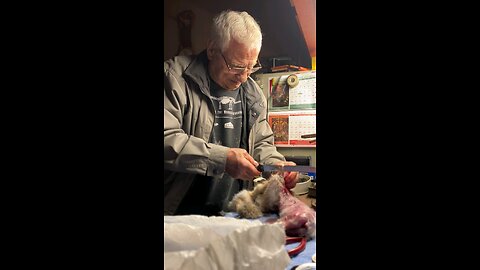 Grandpa Processing a rabbit 🐇