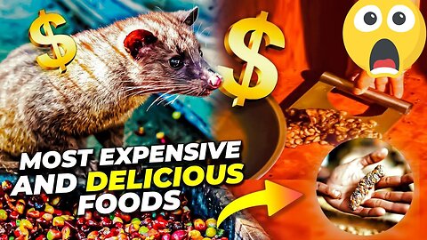The Most Expensive Food In The World