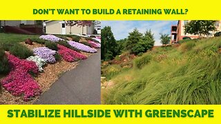 HILLSIDE STABILITY USING PLANT MATERIAL: How To & What Plants to Use