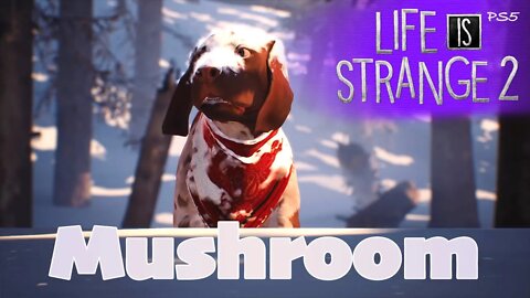 Mushroom (23) Life is Strange 2 [Lets Play PS5]
