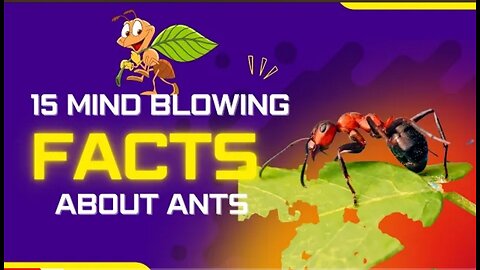 15 amazing facts about ants