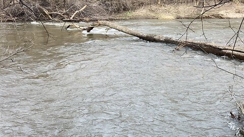 High water after thunderstorms