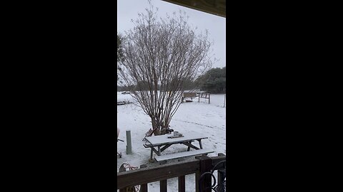 Snow down in Texas
