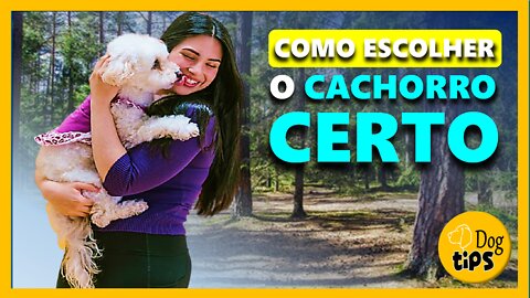 Como Escolher o Cachorro Certo | Canal Dog Tips - How to Choose the Right Dog | Dog Tips Channel