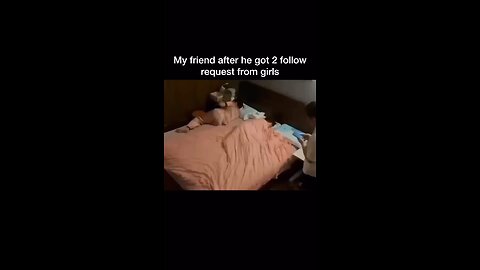 funny videos 2023