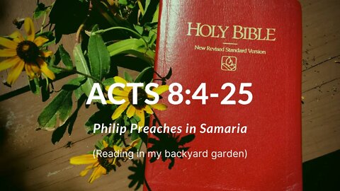 ACTS 8:4-25 (Philip Preaches in Samaria)