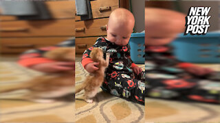 9-month-old is incredibly gentle with rescue kitten