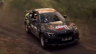 DiRT Rally 2 - RallyHOLiC 10 - Finland Event - Stage 5 Replay