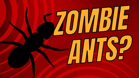 Zombie Ants !