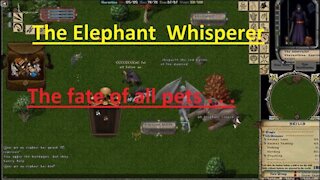 #Ultima Online Adventures - The Elephant Whisperer Greatest Hits - Elephant Escapades Compilation UO